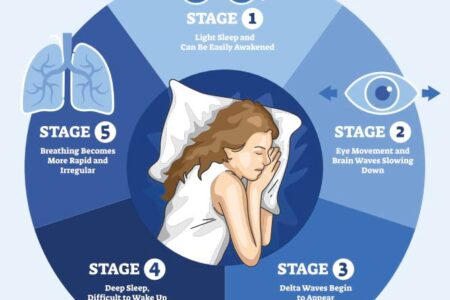 Manfaat Tidur Berkualitas 8 Jam untuk Imun Tubuh